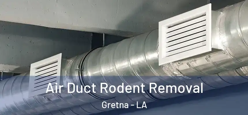  Air Duct Rodent Removal Gretna - LA