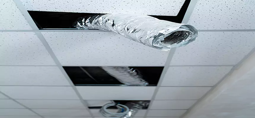 Our Air Duct Pet Hair Removal Services in Gretna, LA