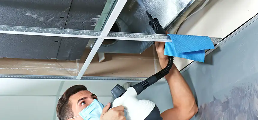 Our Air Duct Rodent Removal Services in Gretna, LA