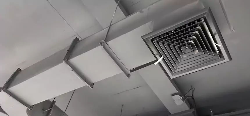 Restorative Allergy Relief Vent Cleaning – Coil, Blower & Housing Detail in Gretna