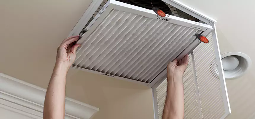 Our Insect Removal from Air Ducts Services in Gretna, LA