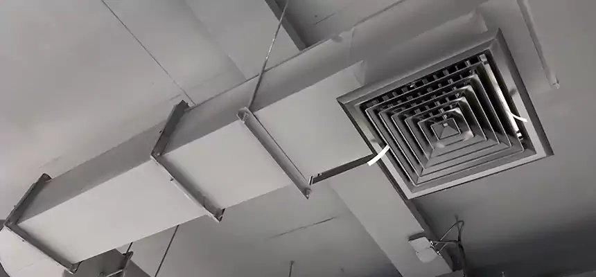 Our Pest Removal From Ducts Services in Gretna, LA