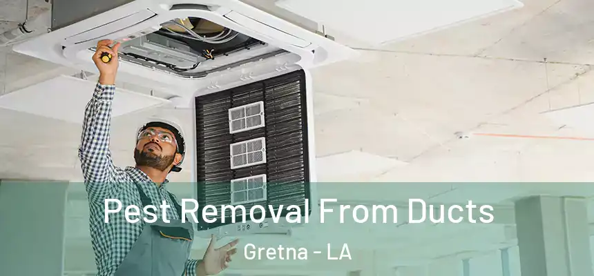  Pest Removal From Ducts Gretna - LA