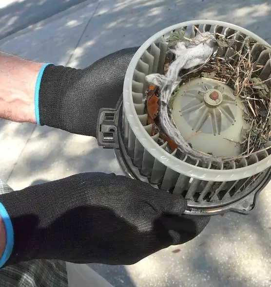 About Air Duct Mice Removal in Gretna, LA