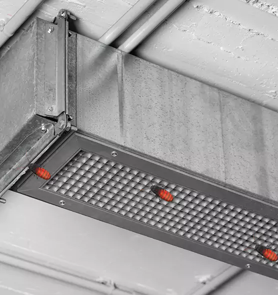 Affordable Insect Removal from Air Ducts in Gretna, LA